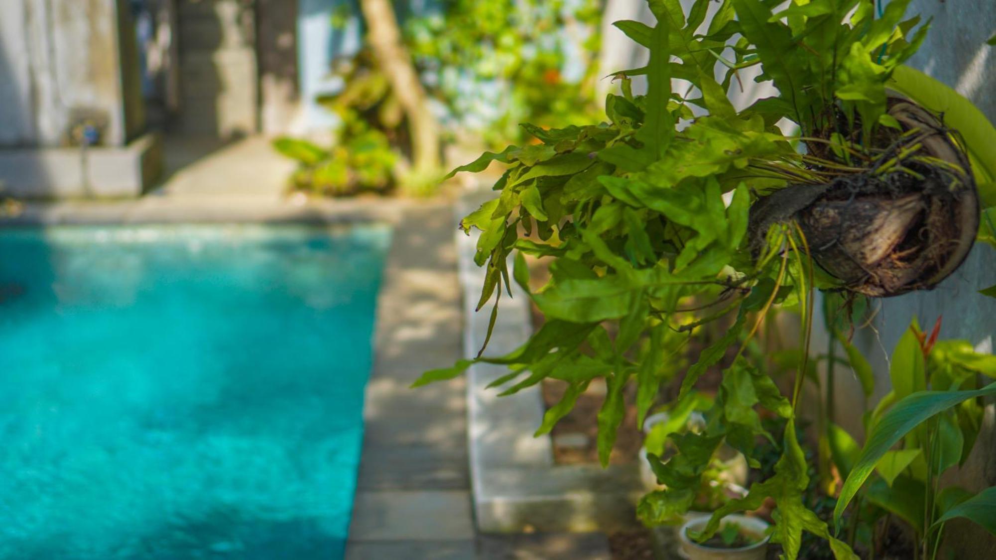 Dirga'S House Sanur View By Eps Otel Dış mekan fotoğraf